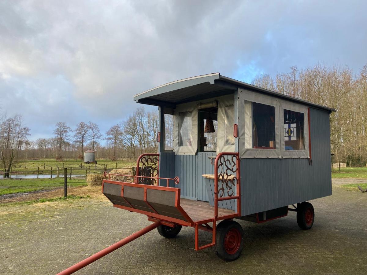 Camping De Bosrand Spier Exteriör bild