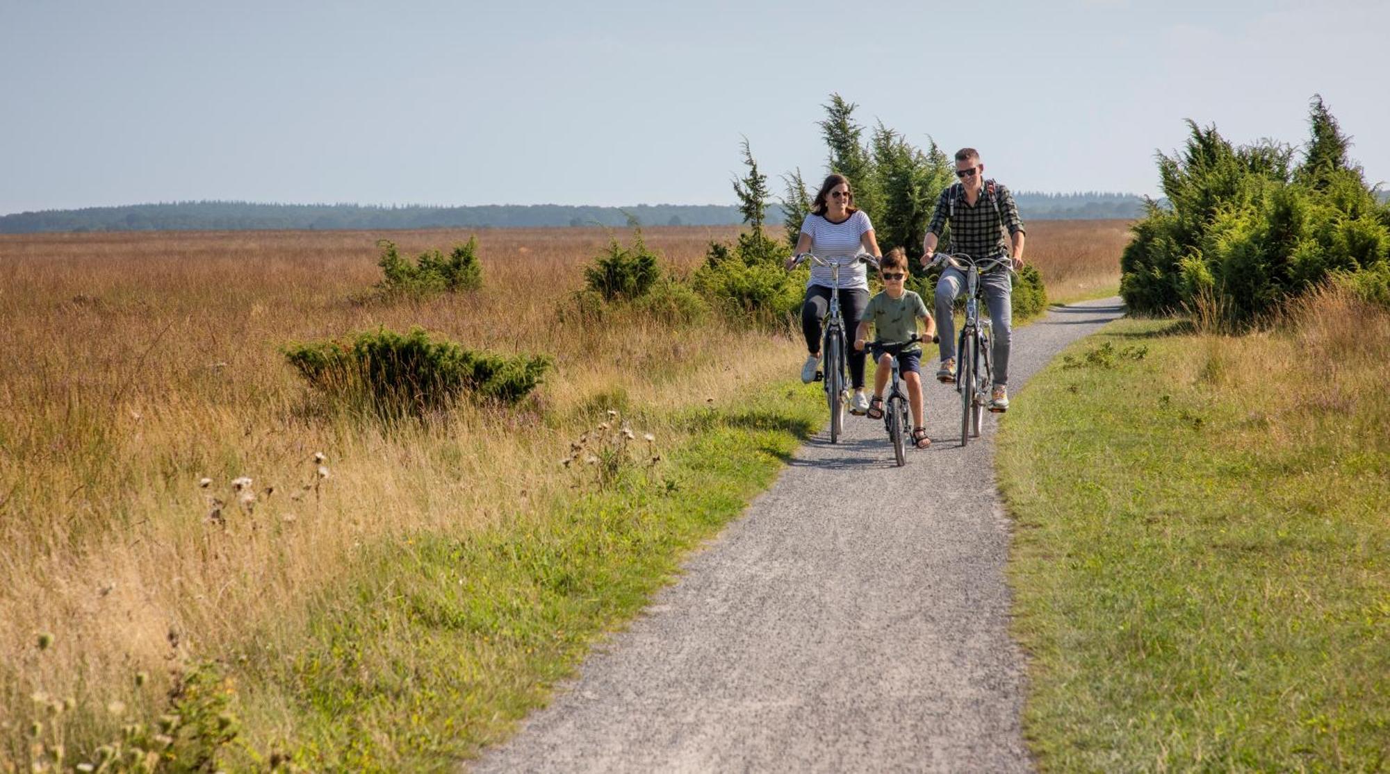 Camping De Bosrand Spier Exteriör bild