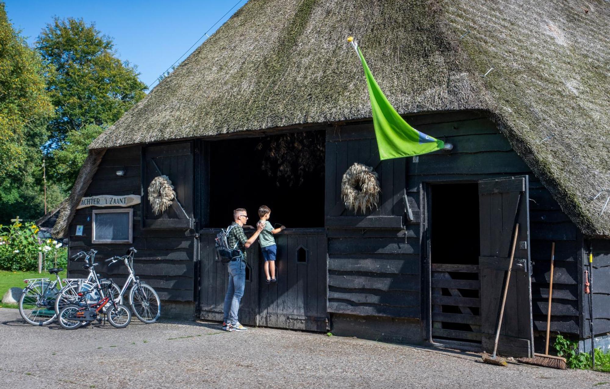 Camping De Bosrand Spier Exteriör bild